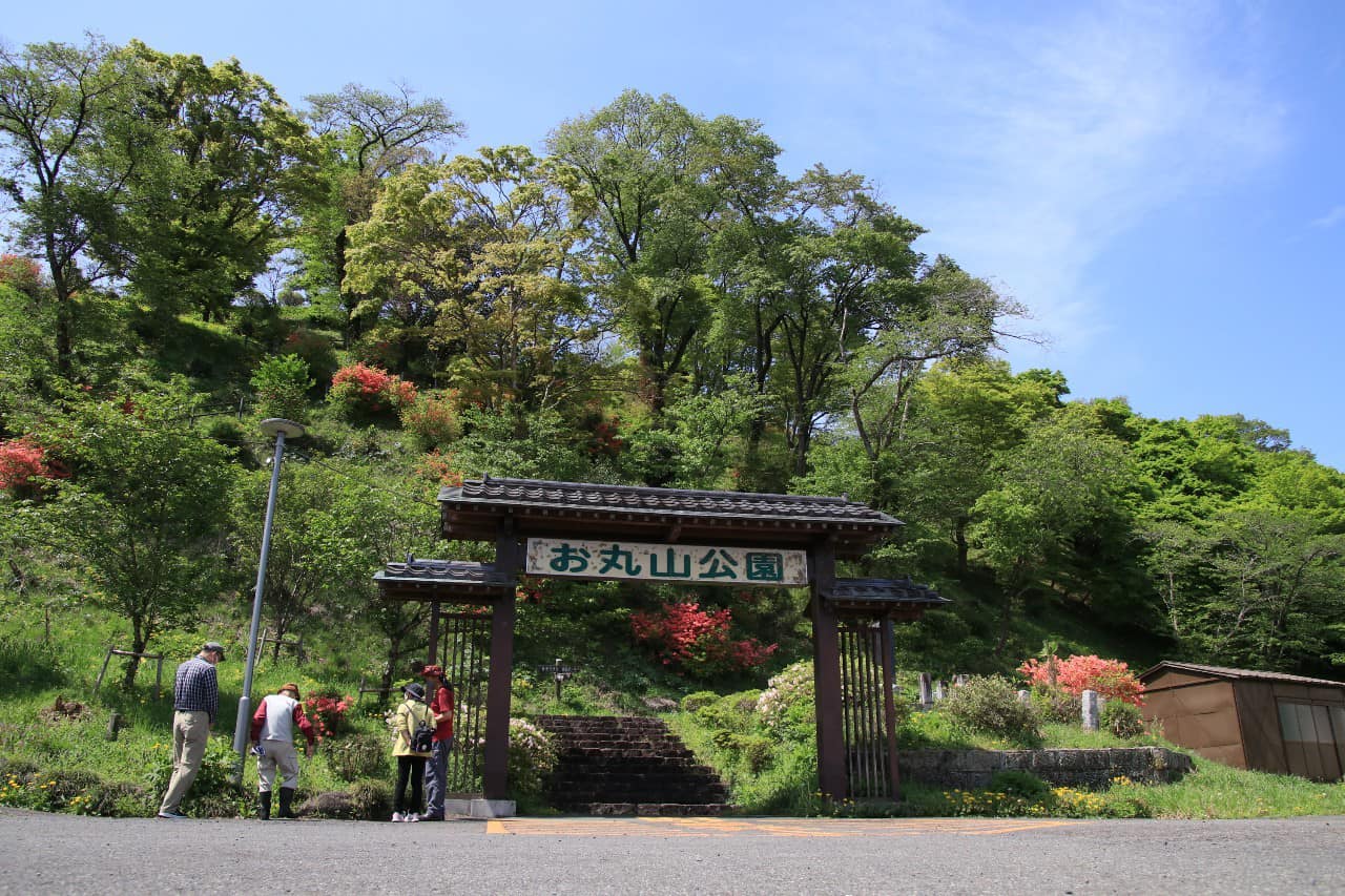 お丸山公園東斜面の全景