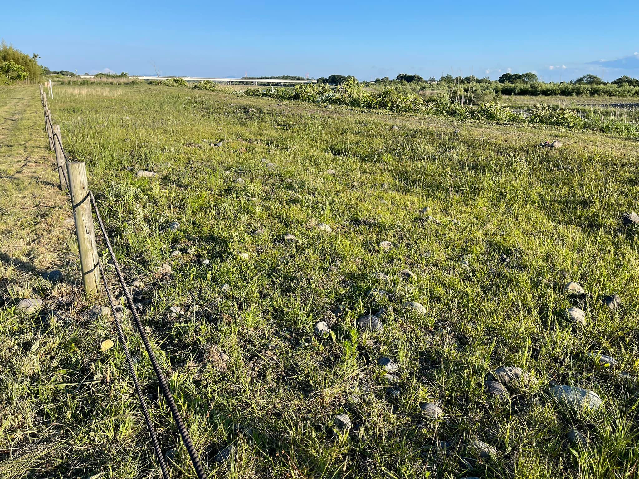 クズ等が除去された保全地