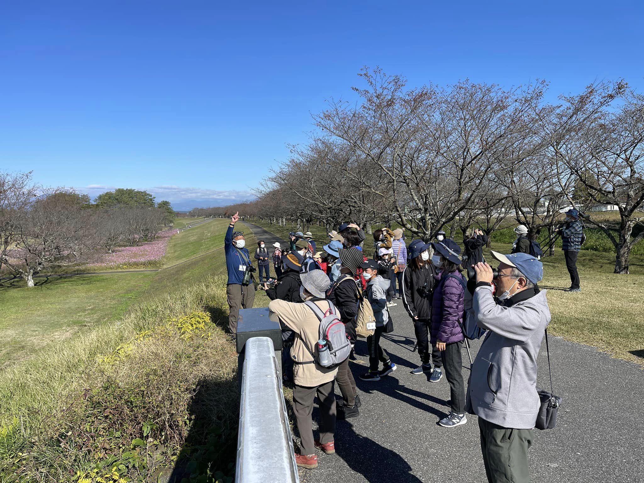 パークブリッジから鳥を探す