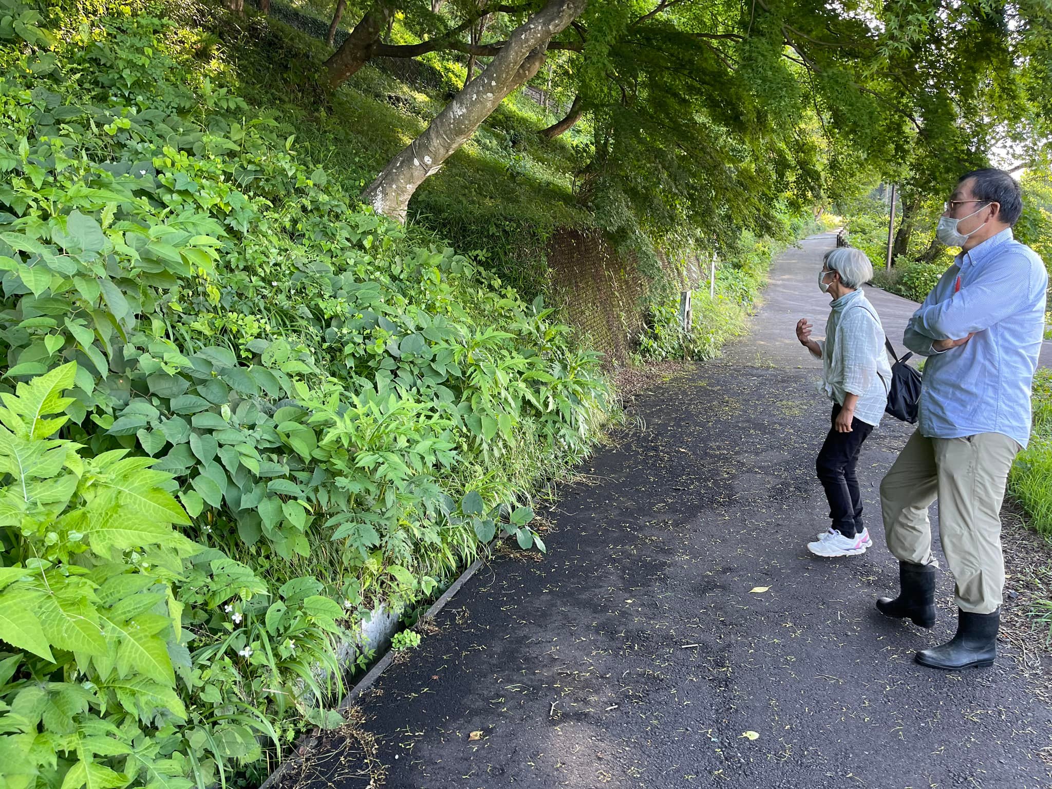 保全エリアの設定の検討