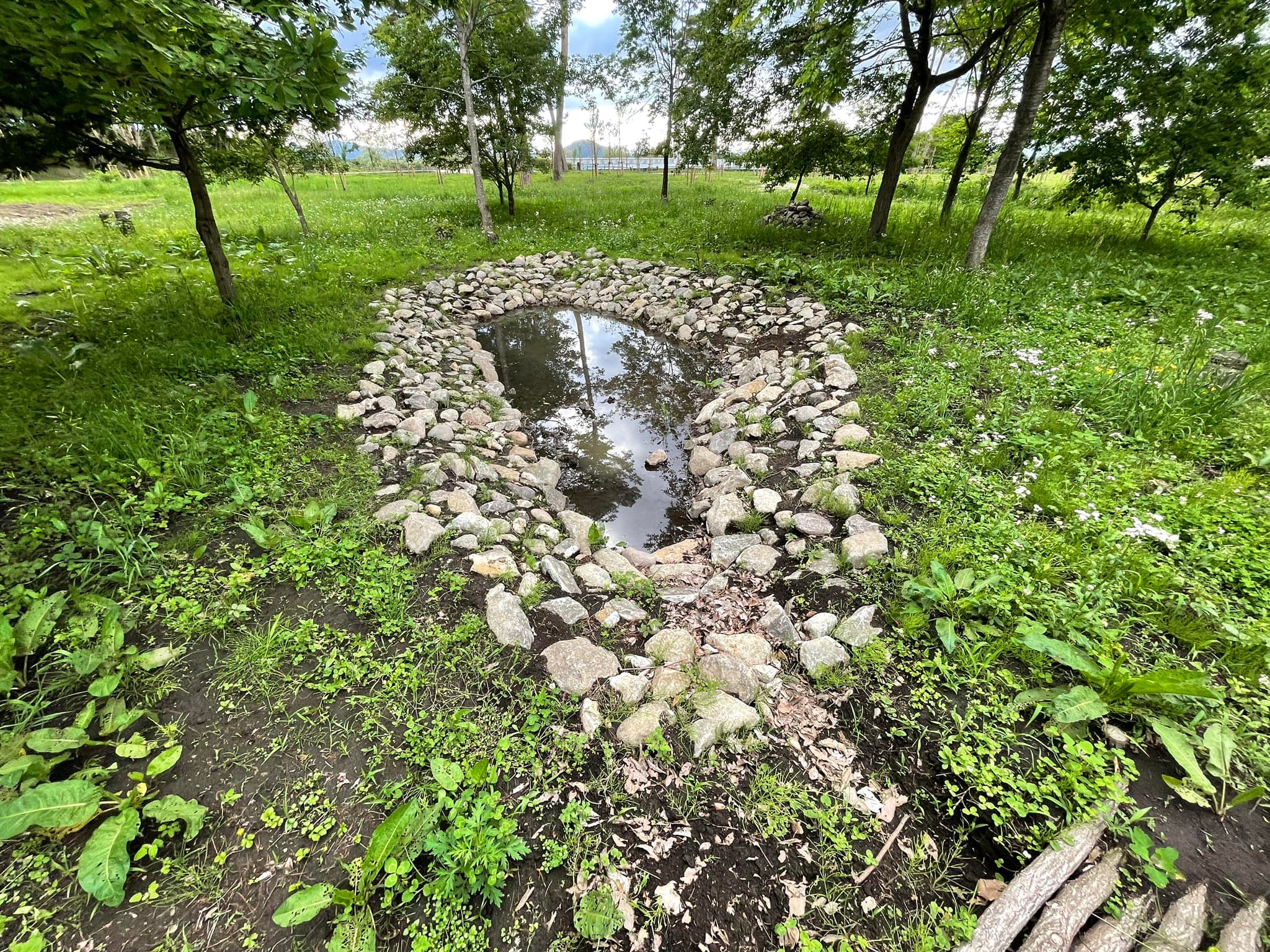 勝山公園ビオトープの全景