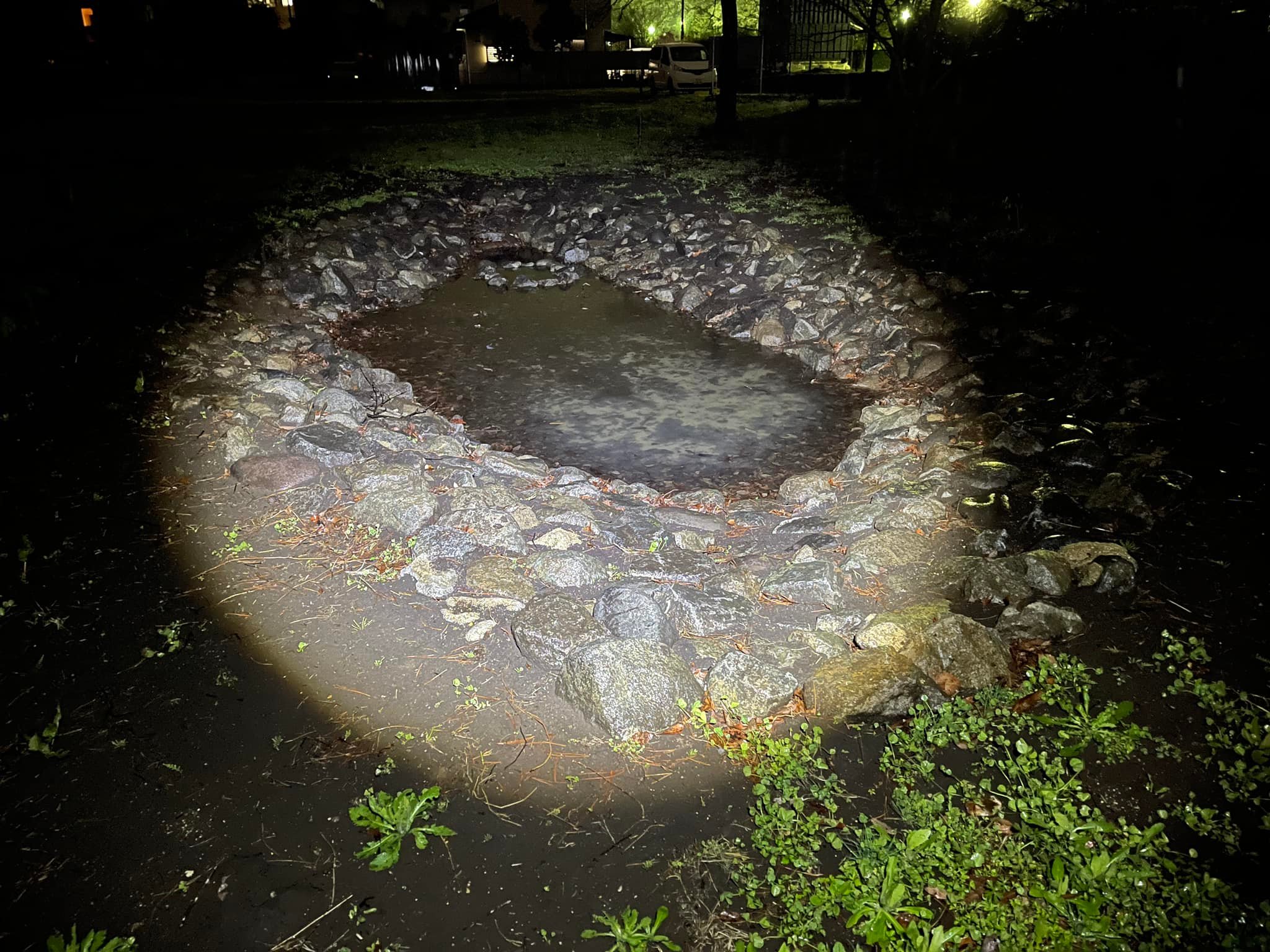 勝山公園ビオトープの状況