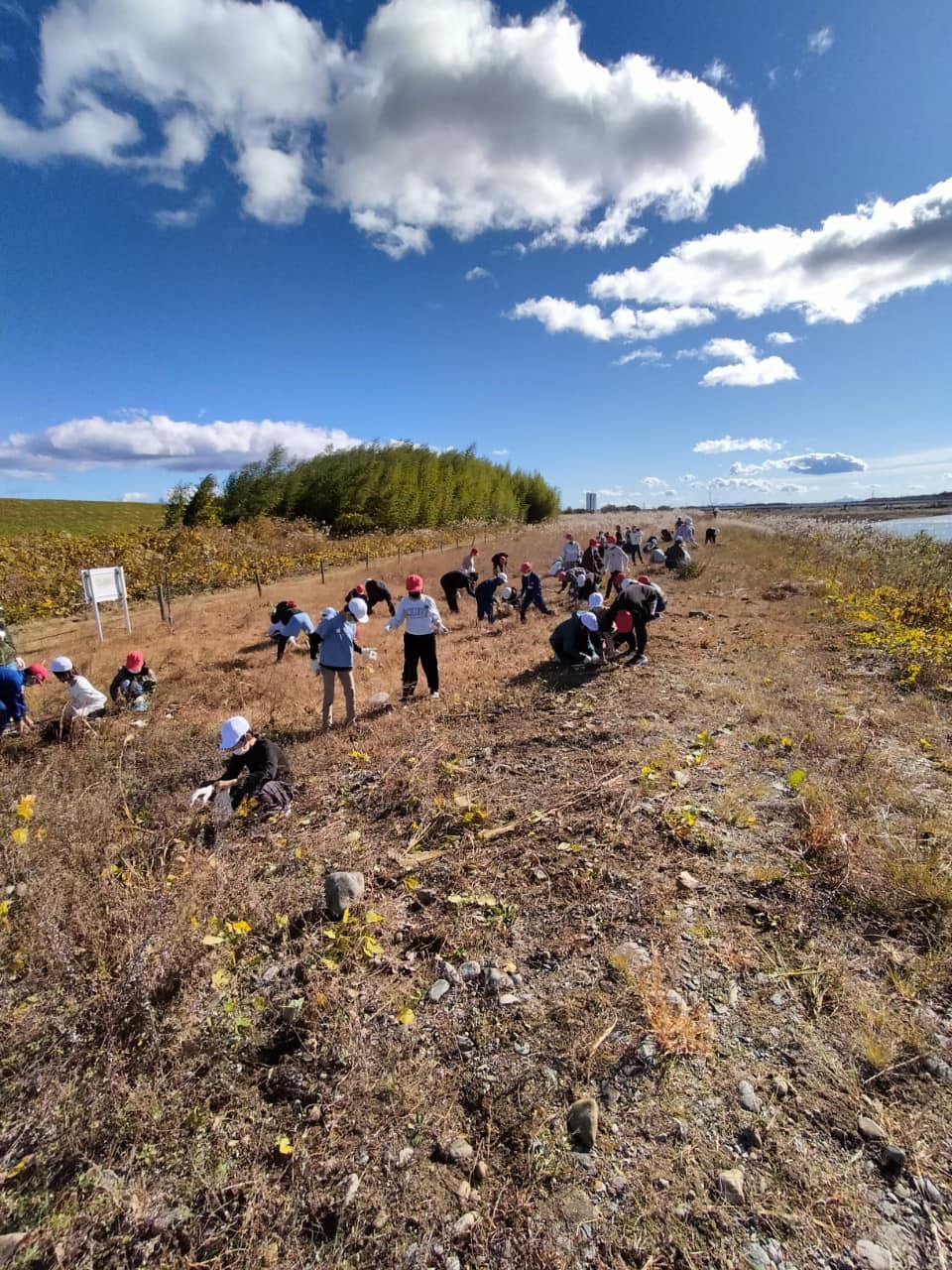 南小学校5年生による除草作業