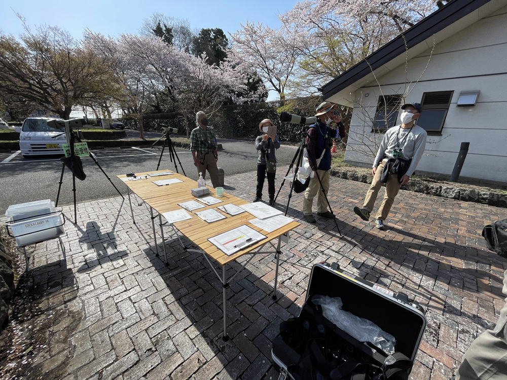 探鳥会受付