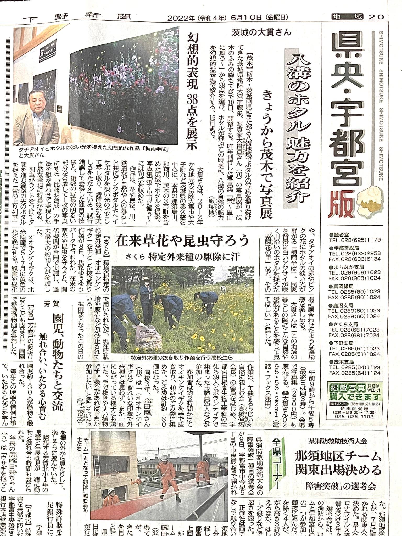 掲載された記事