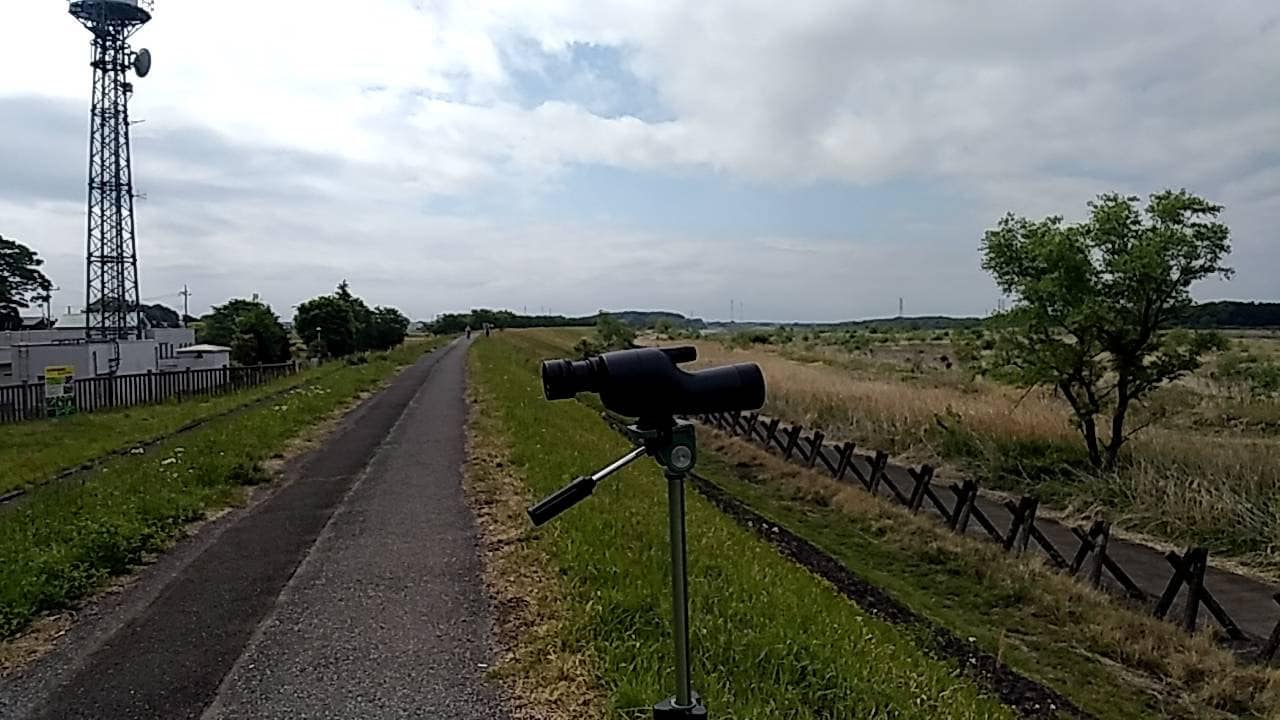 氏家大橋付近の定点