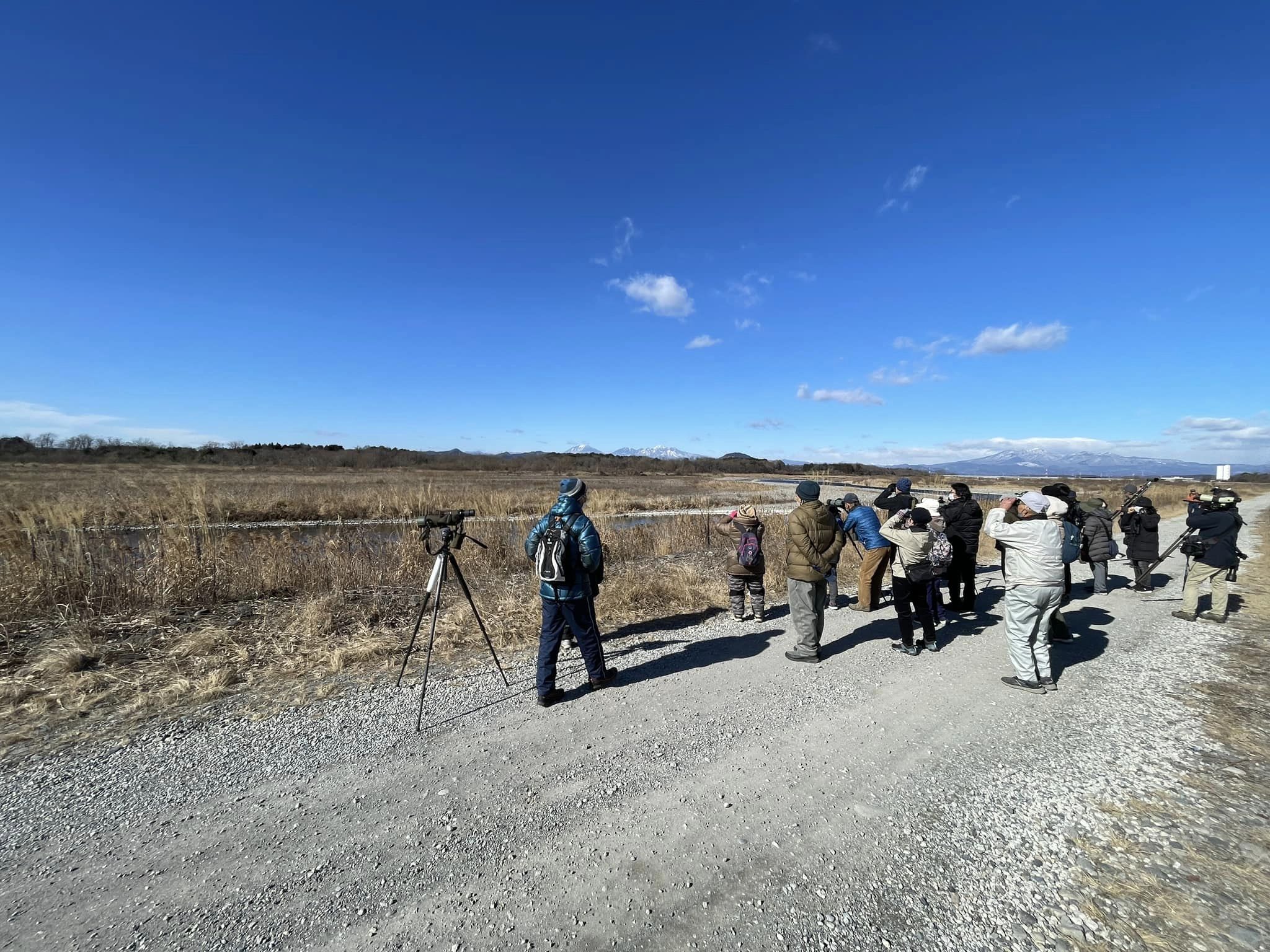 河川敷での鳥探し
