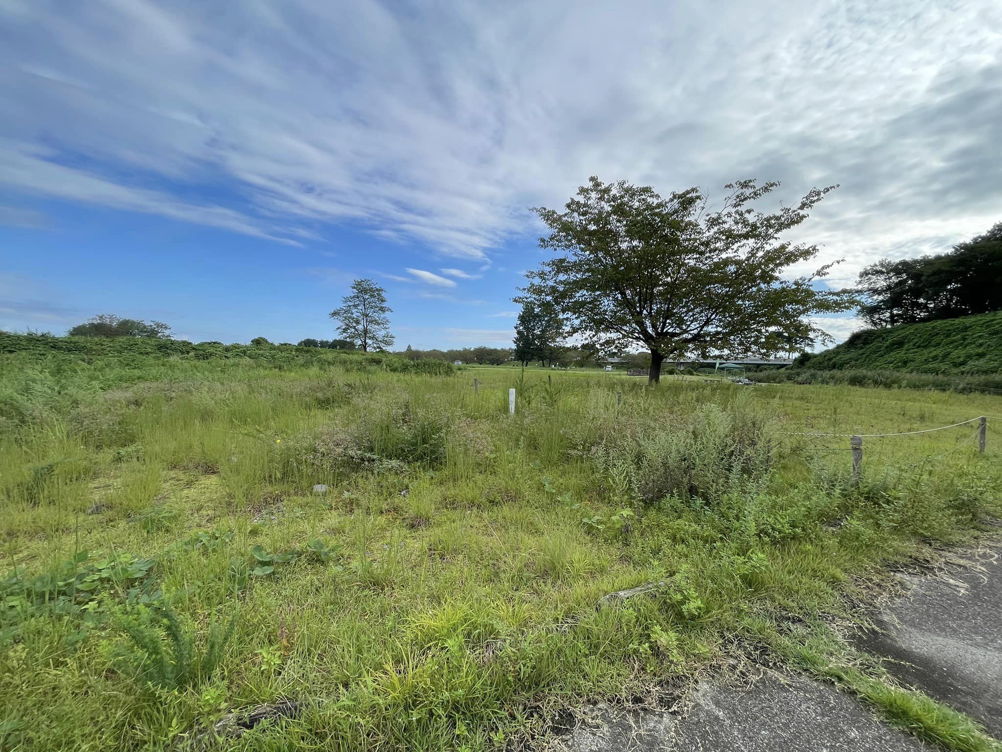 第1管理地の全景