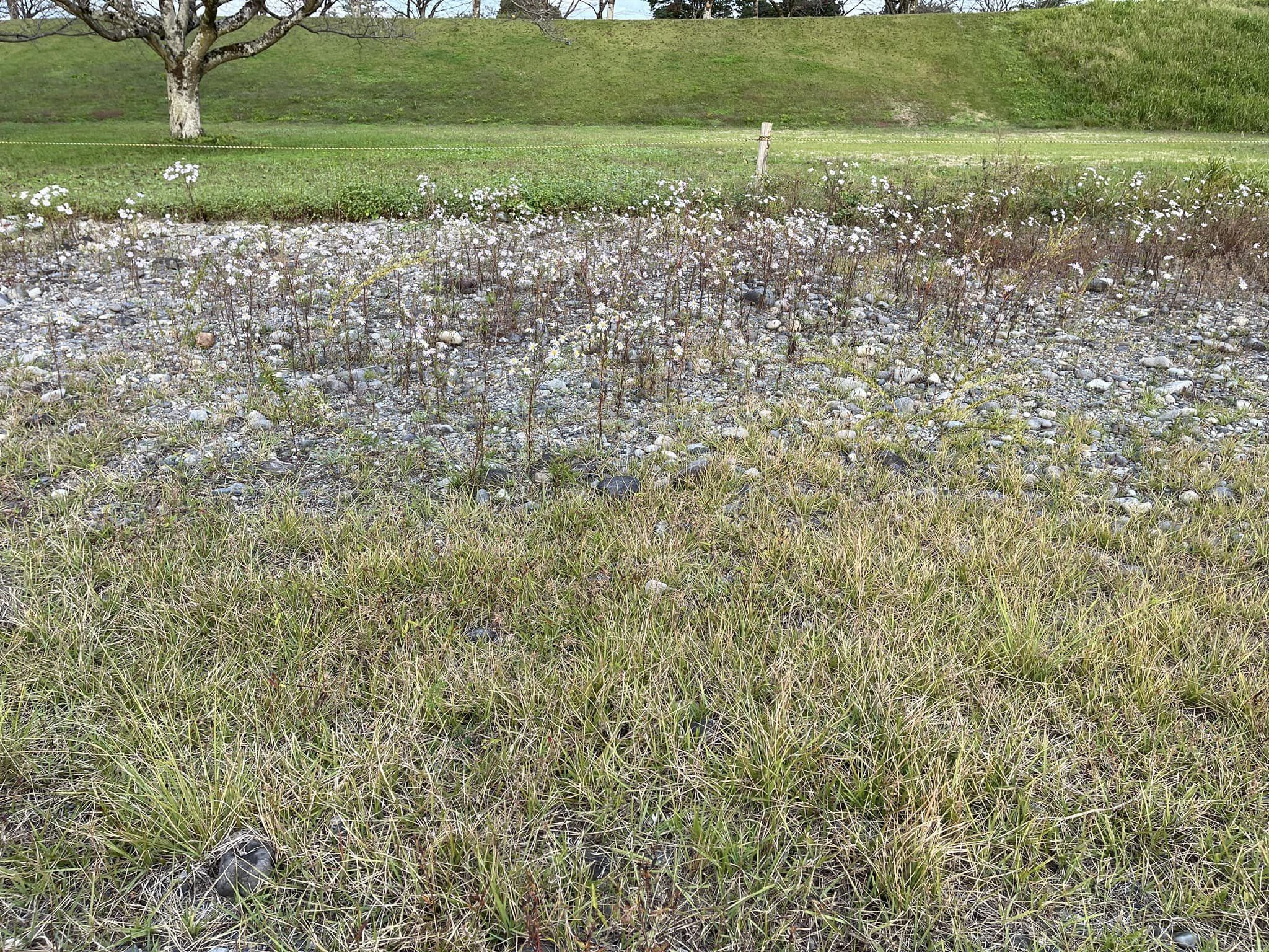 第2管理地の状況