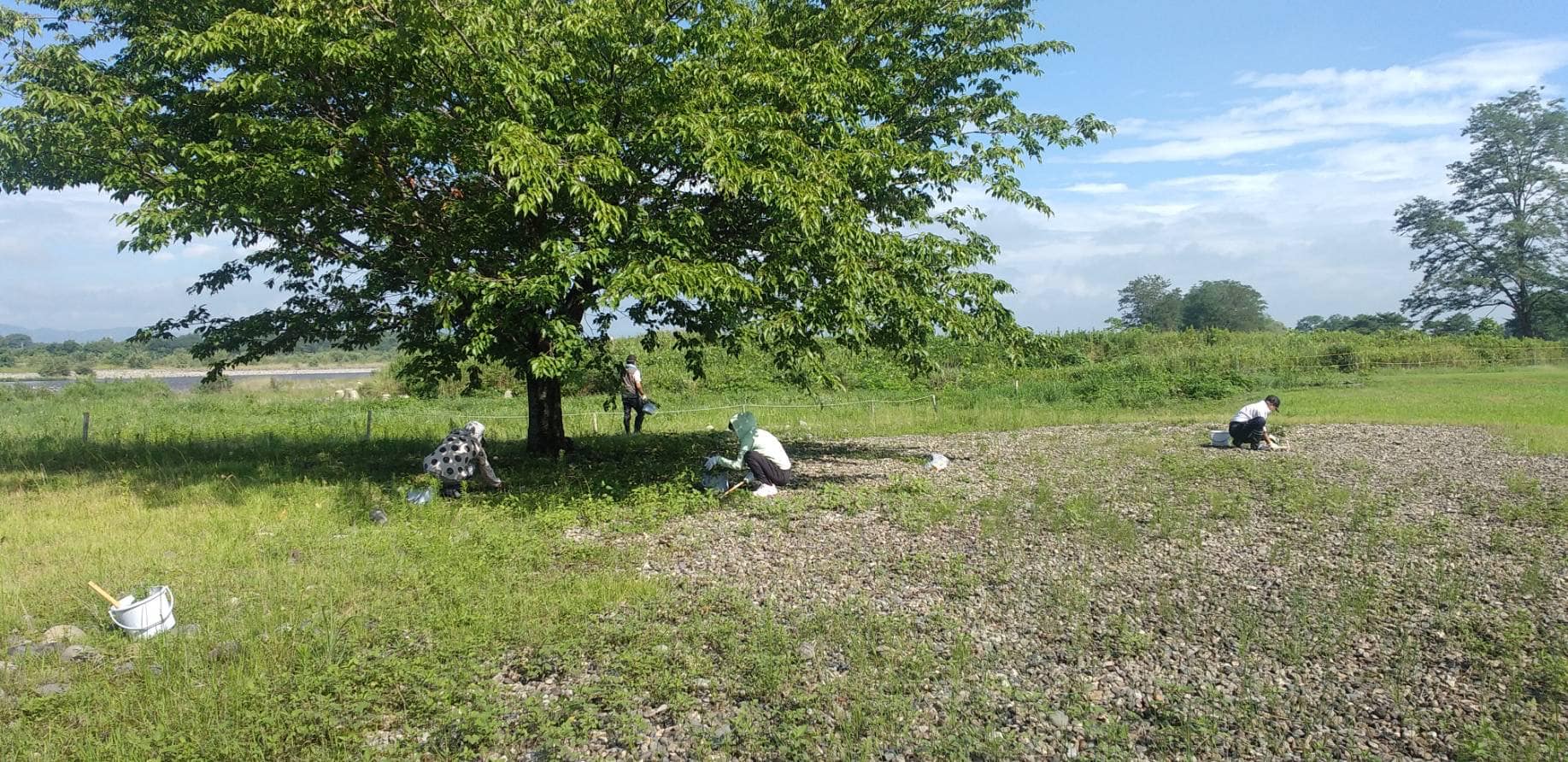 第１管理地の除草