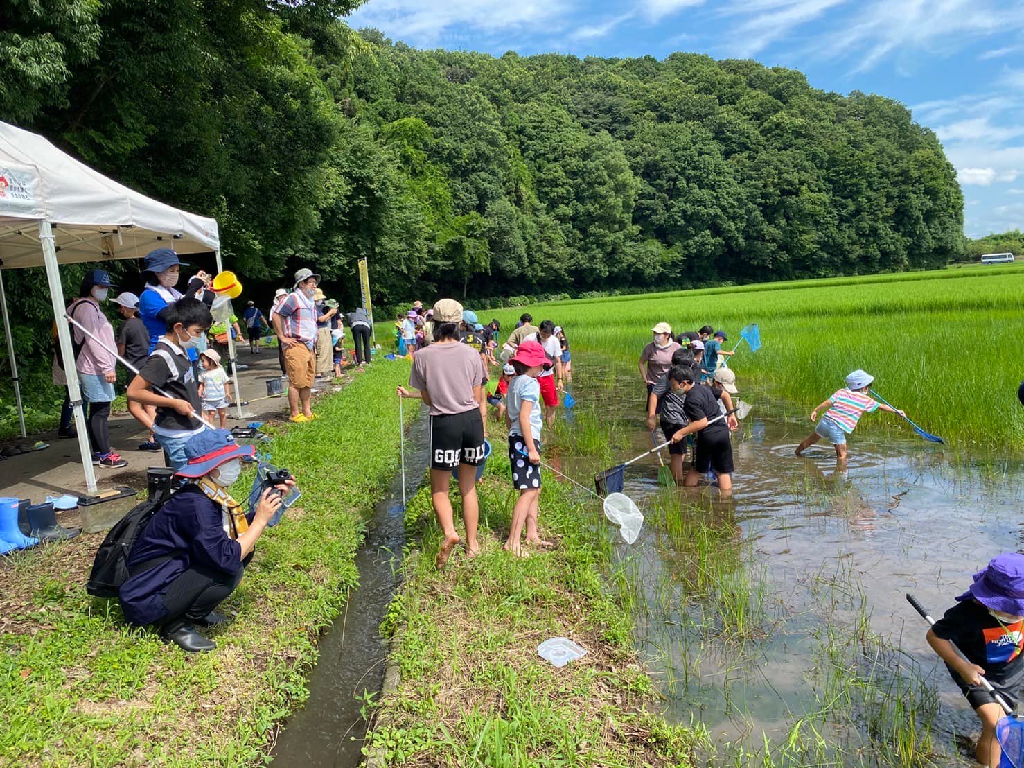裸足で田んぼに入る子供たち