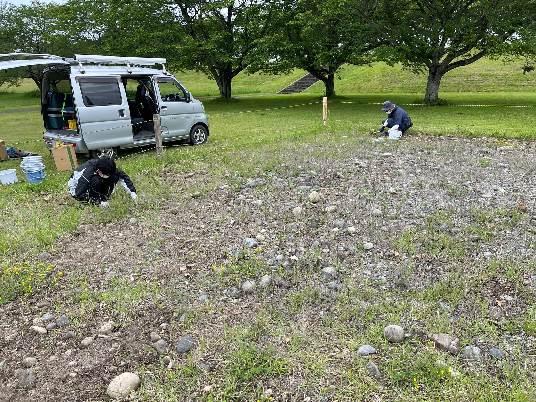 除草作業の様子