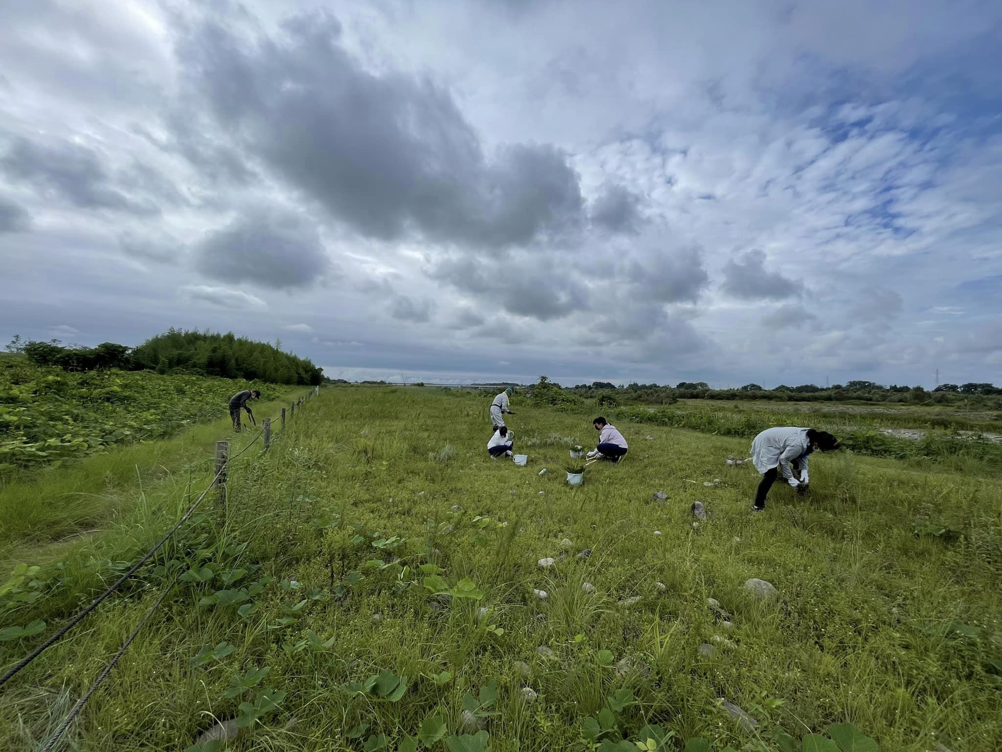 オオフタバムグラとの格闘