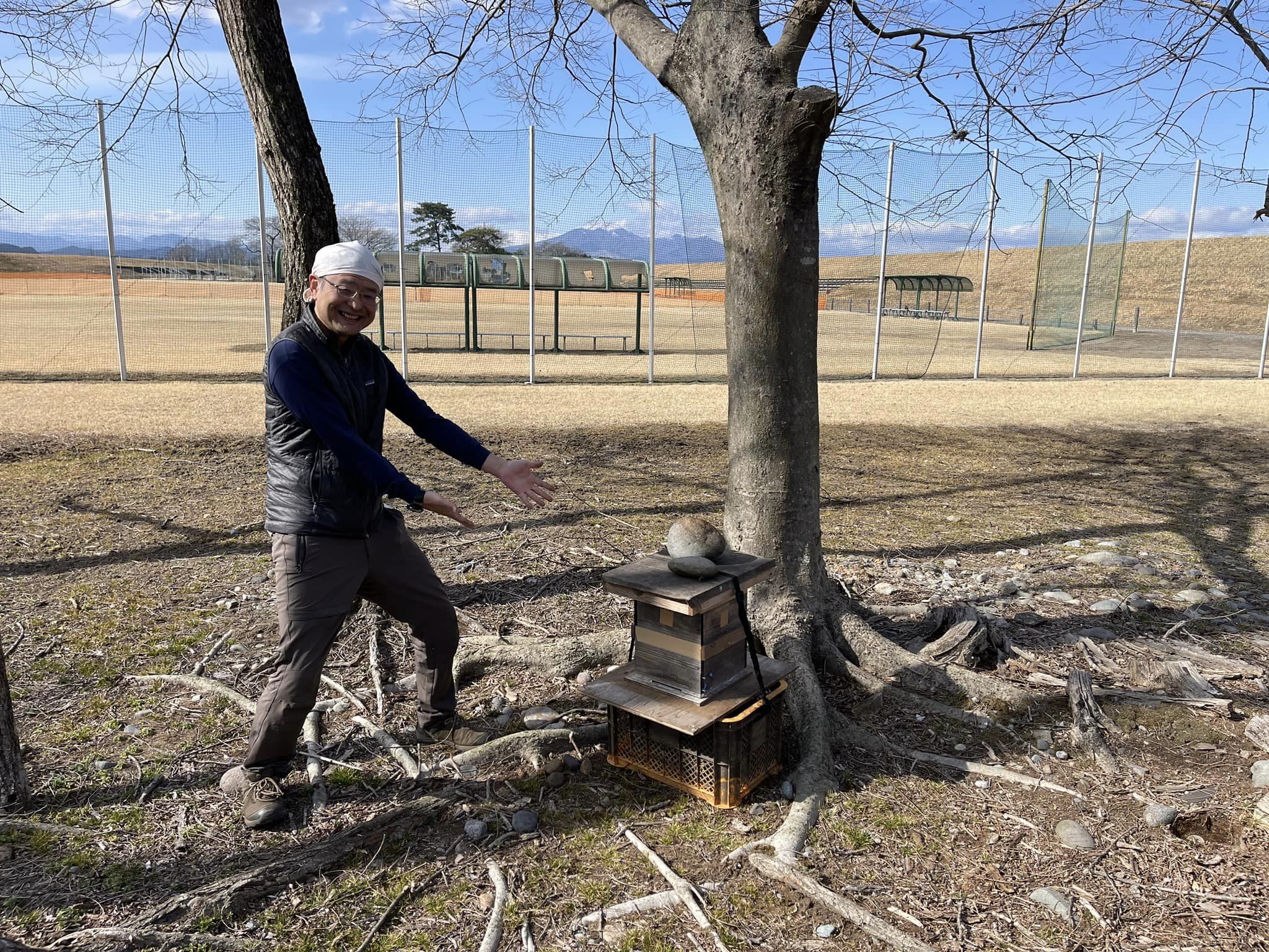 ニホンミツバチの巣箱設置状況・２