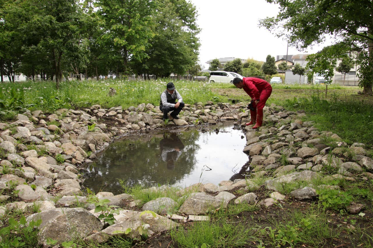 ビオトープの状況確認
