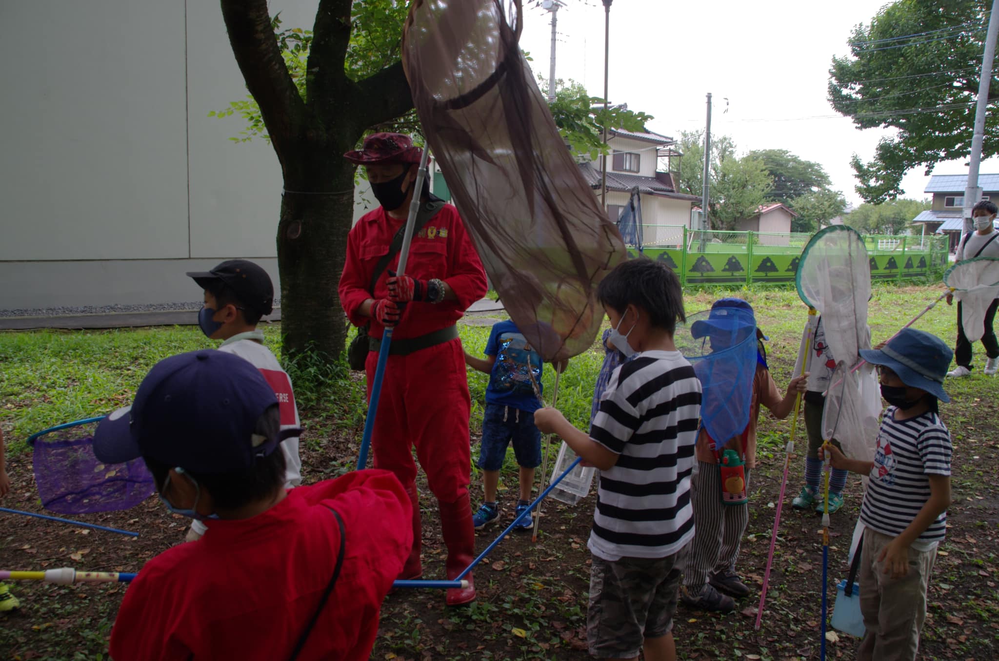 ミュージアム付近で虫捕り