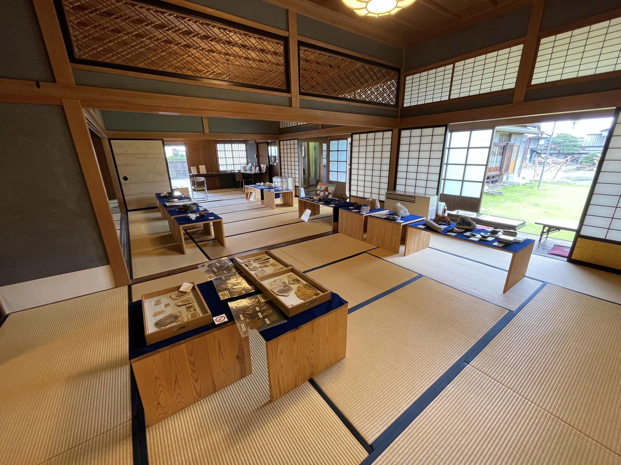 メインフロアの全景