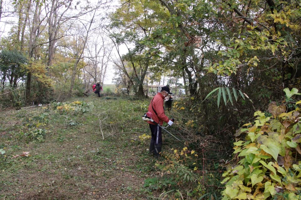 下草を刈り進める