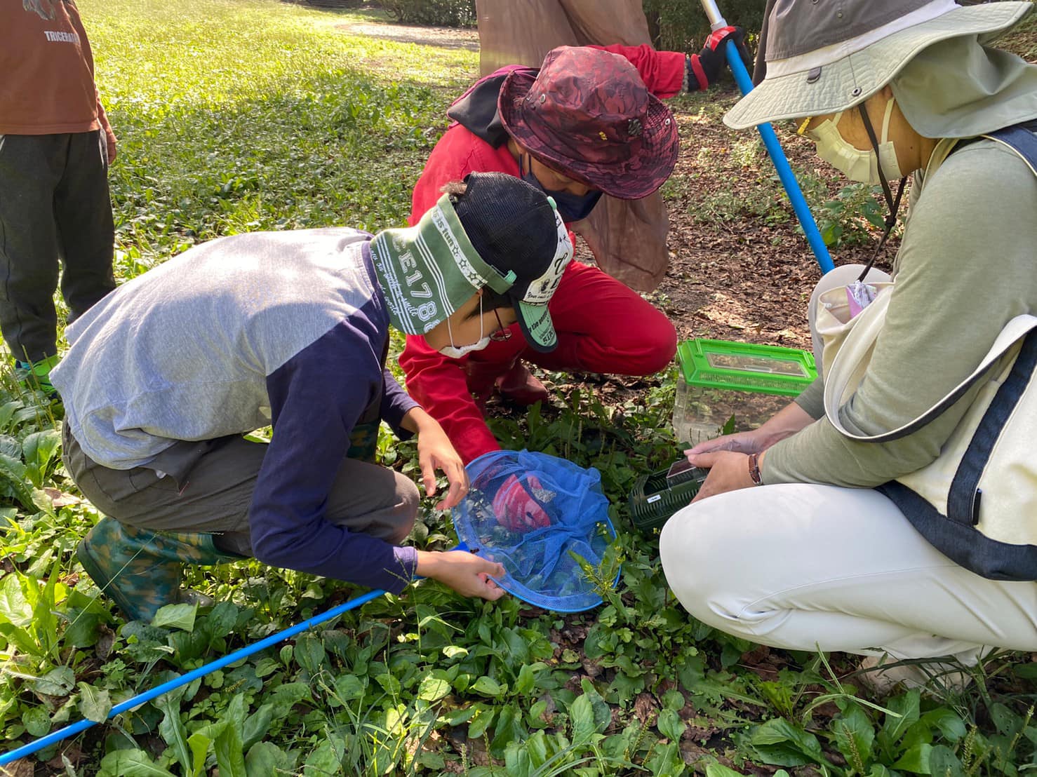 何が捕れたかな