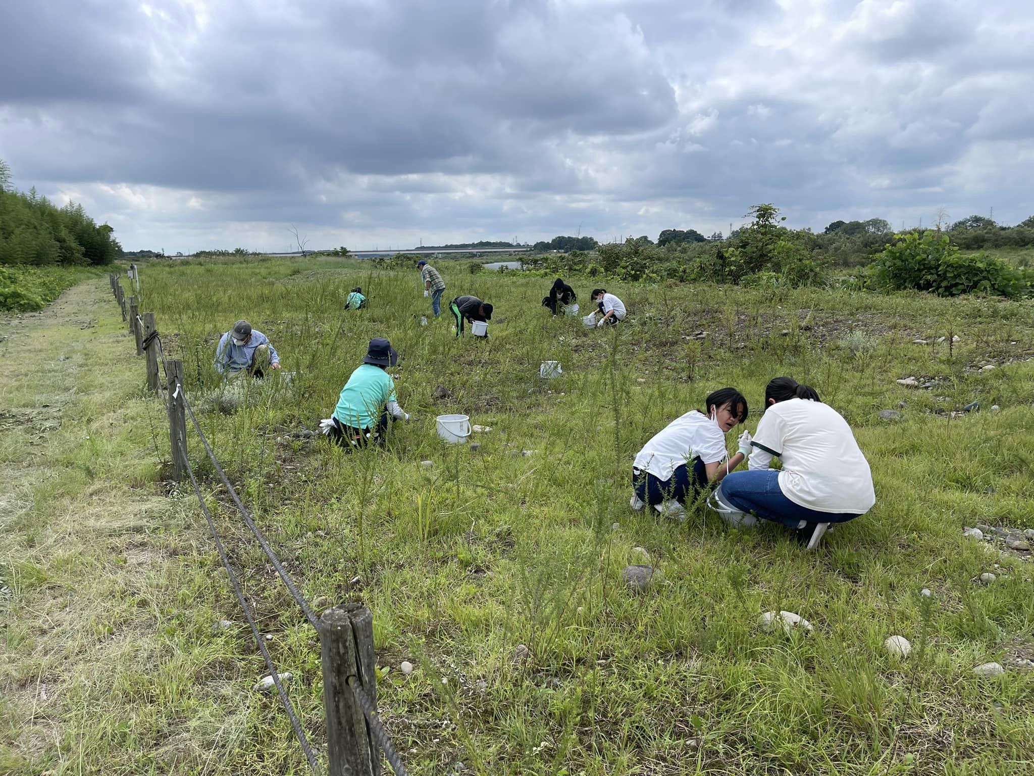 徐々に除草が進みます