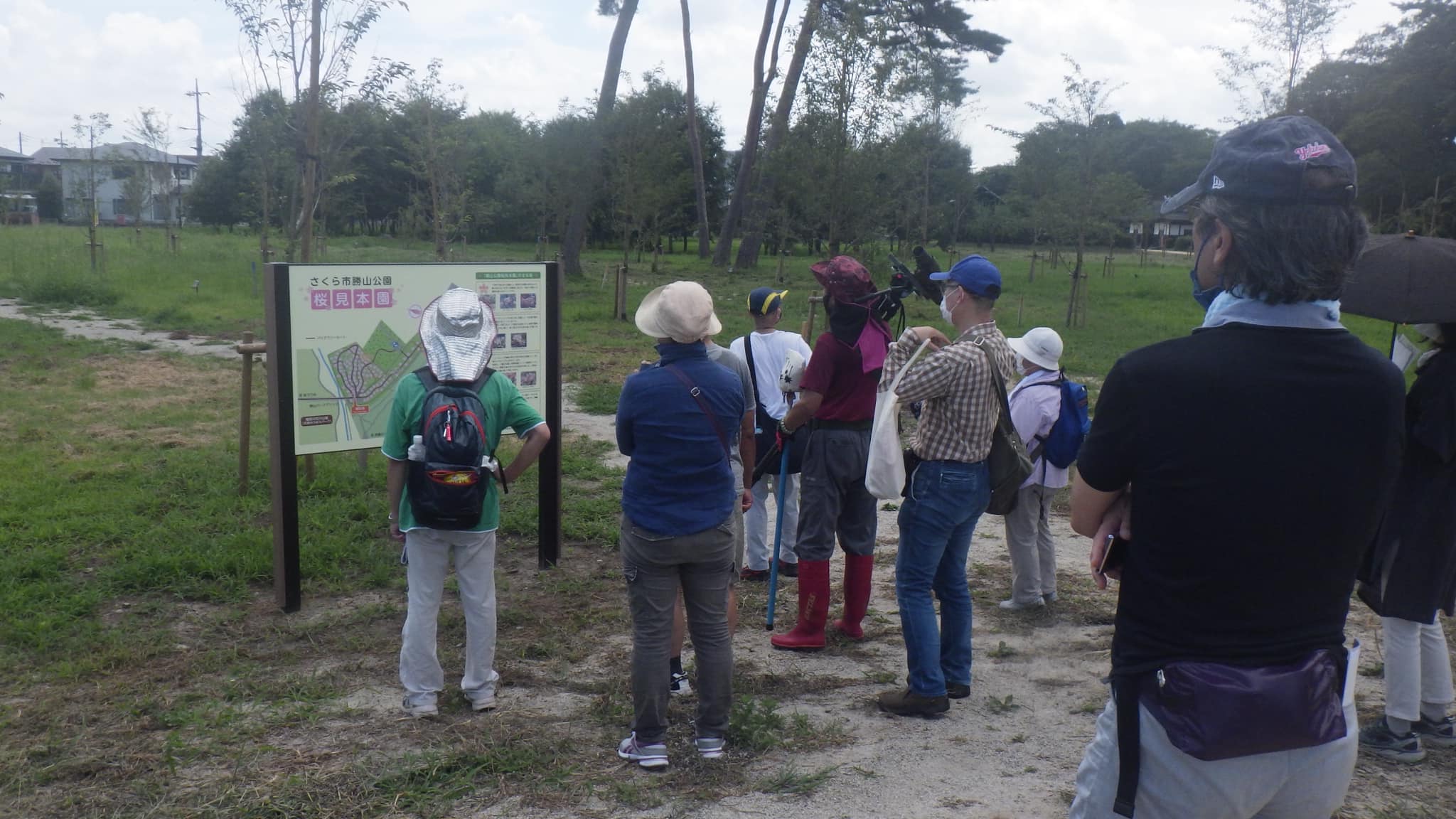 新勝山公園の桜の見本園を視察