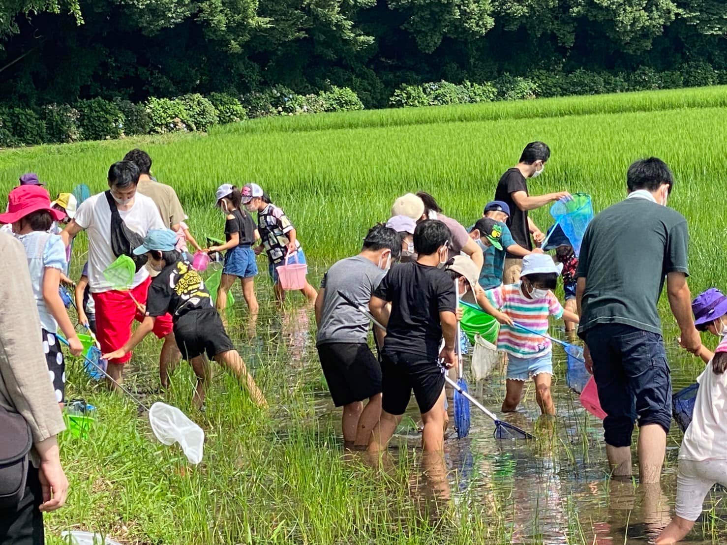 泥んこの参加者たち