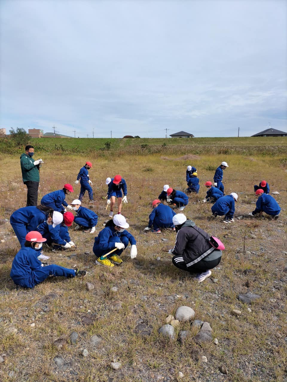 熱心に草を引き抜く
