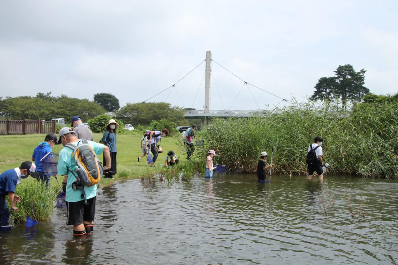 率先して水に入る子供たち