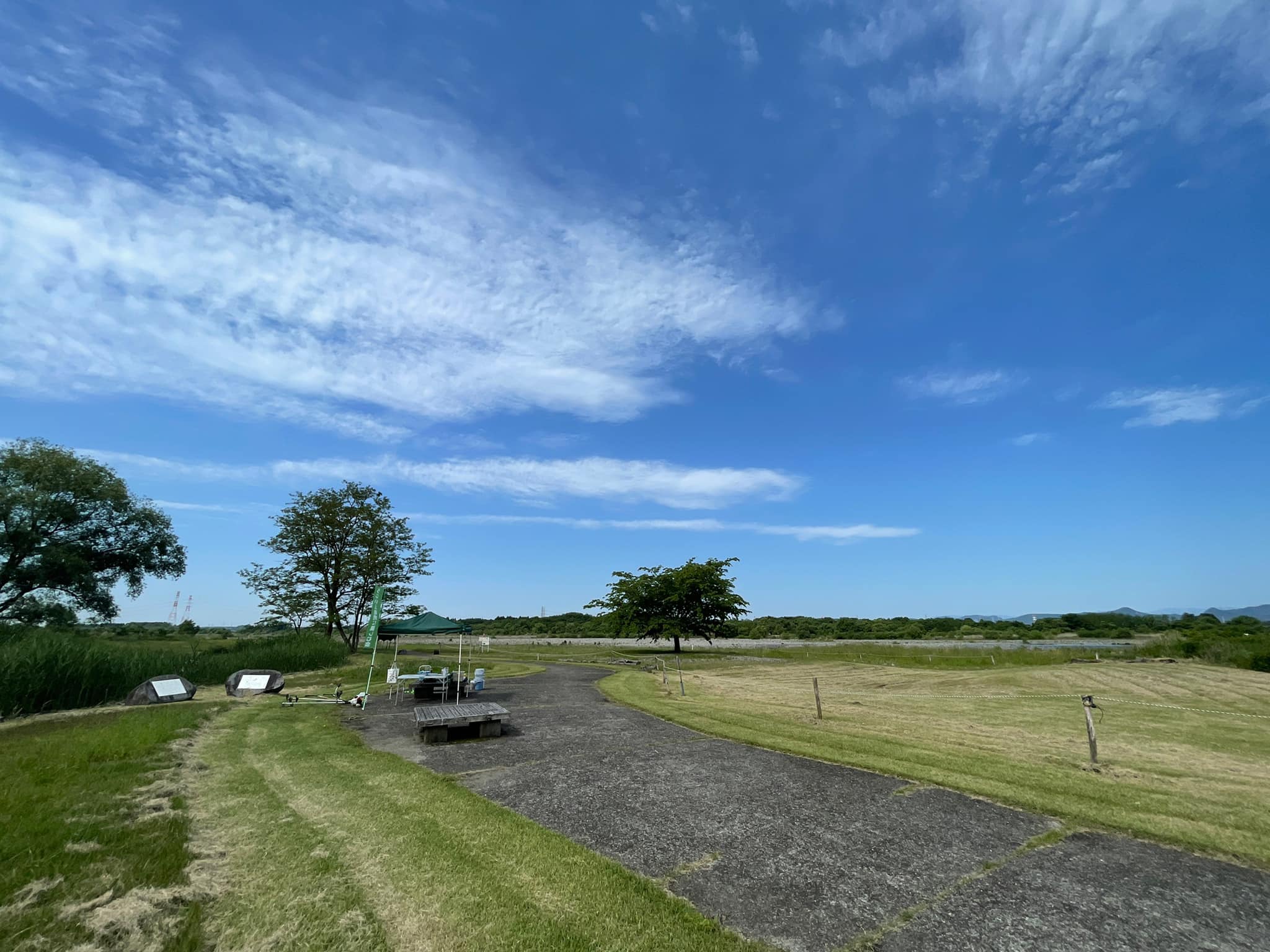 第1管理地の全景