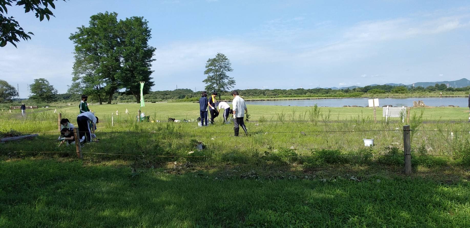 第２管理地の除草