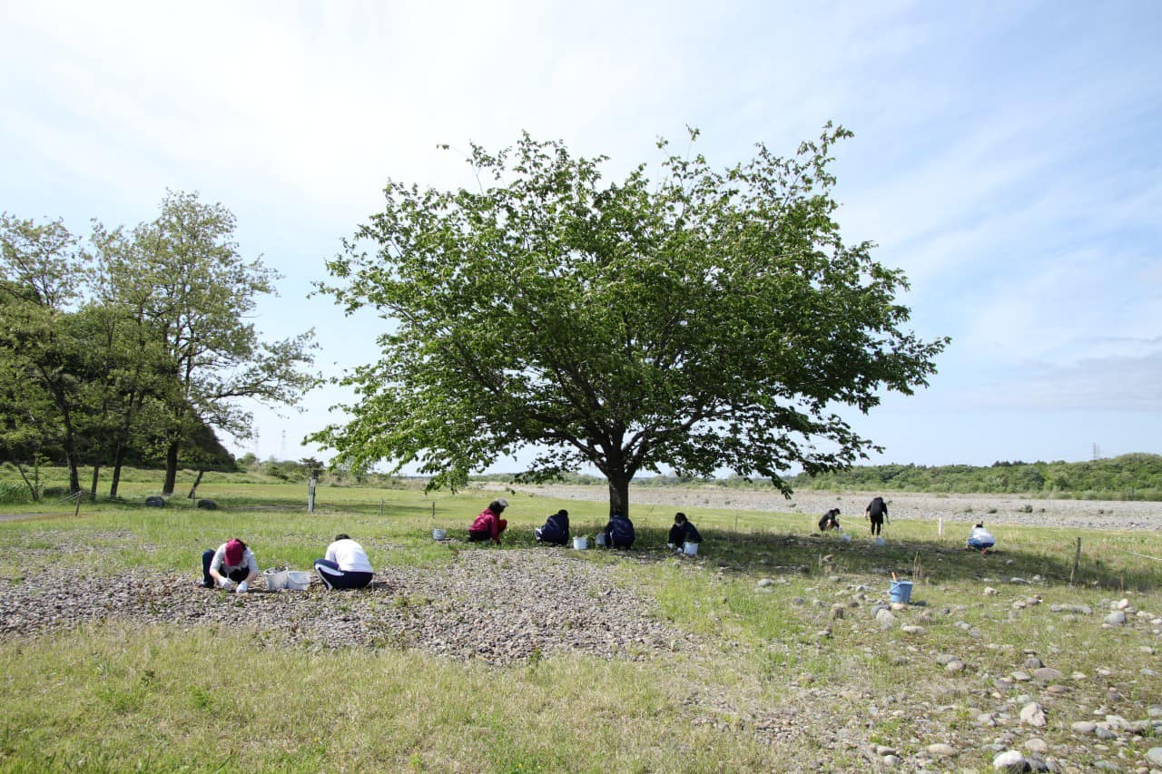 管理地の除草作業