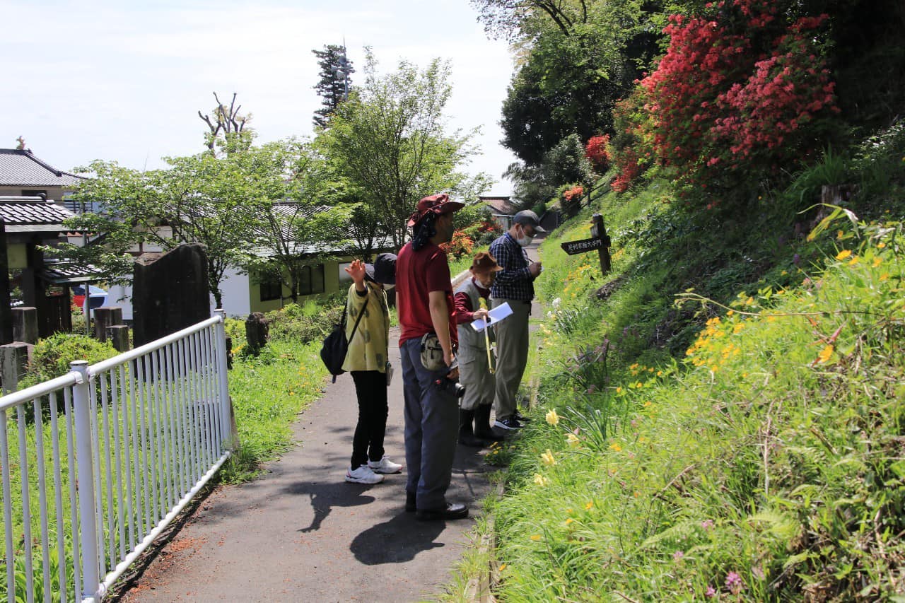 観察を進める参加者