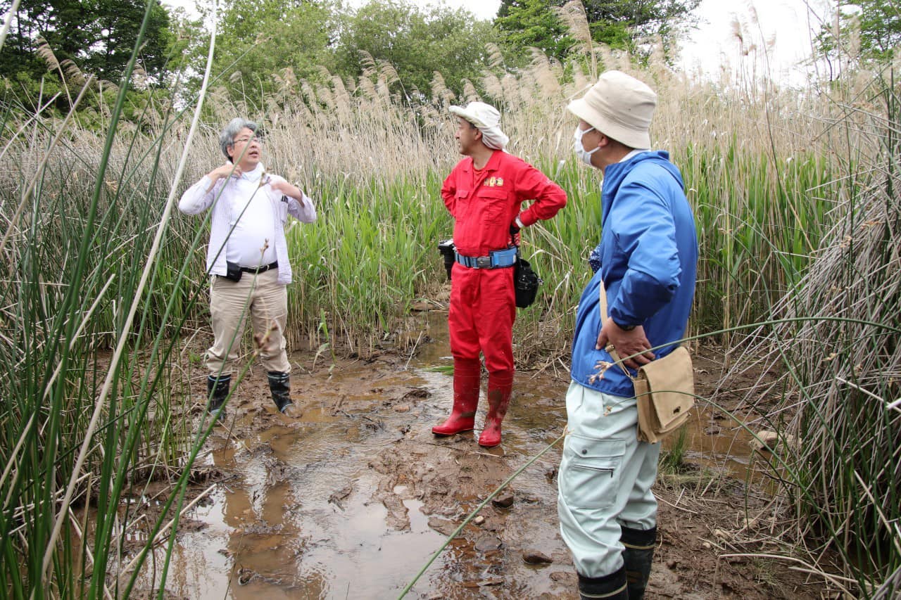 調査前の状況確認