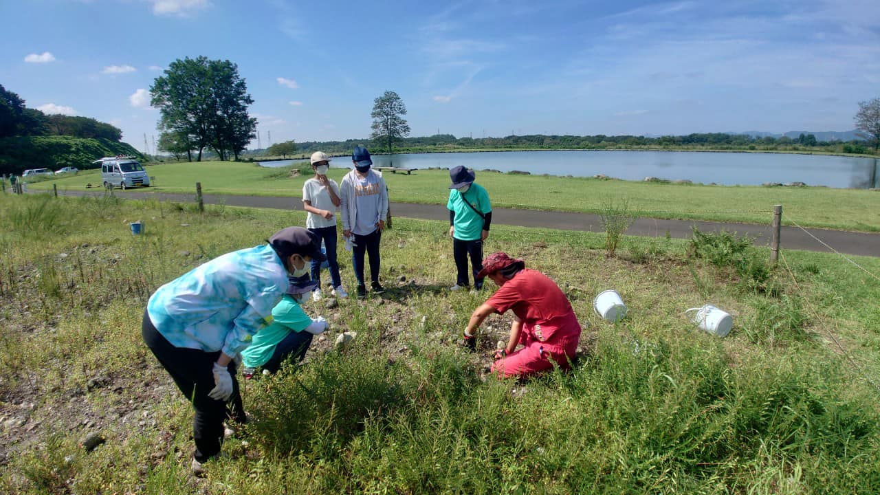 除草をしながら自然観察