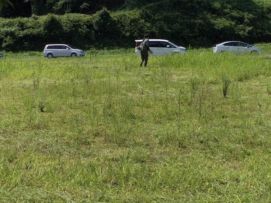 しなだれバスターズ