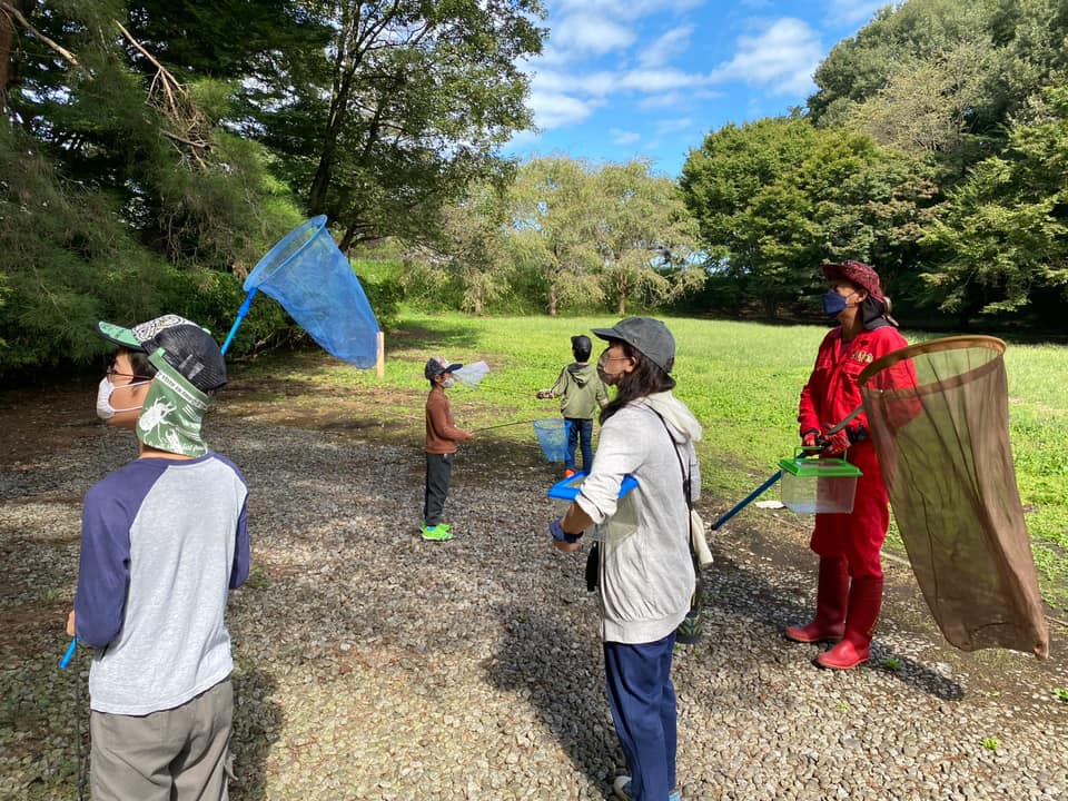 トンボを探す子供たち