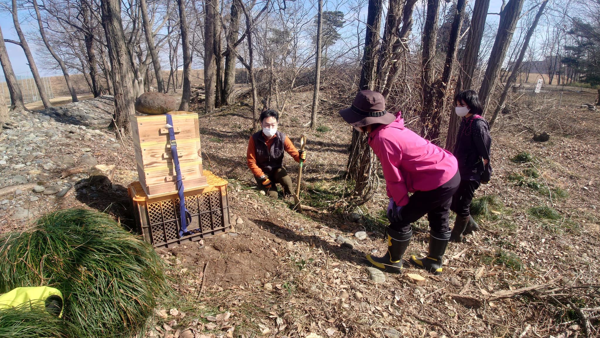 ニホンミツバチのチームが誕生しました