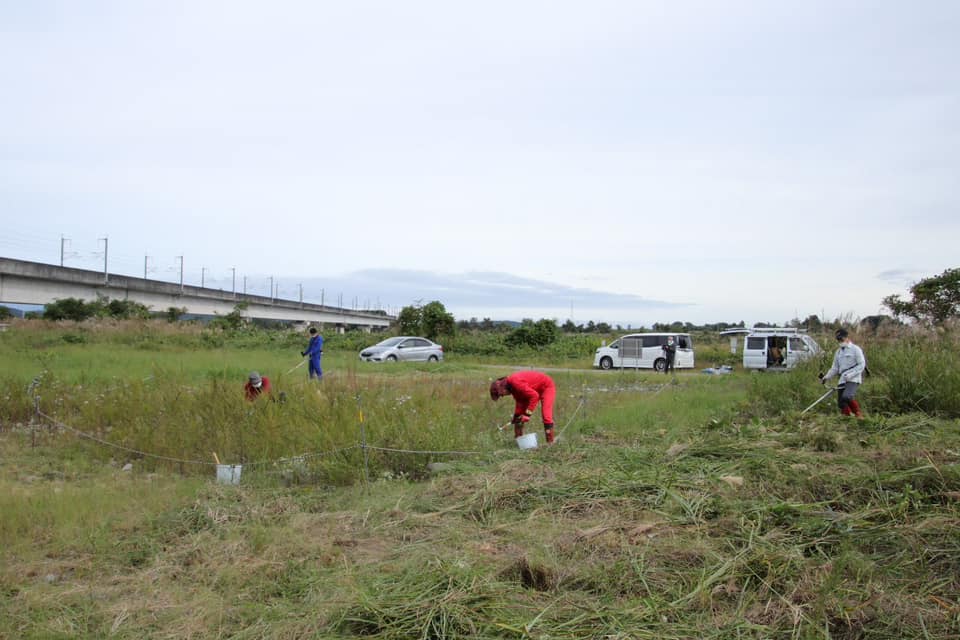 保全地周辺はバスターズ