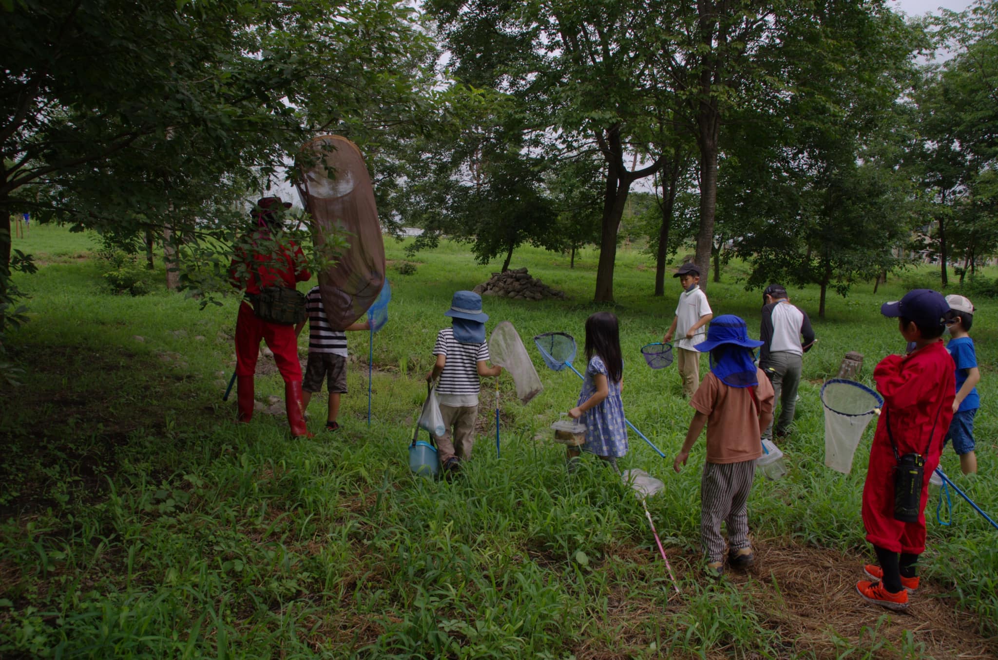 勝山公園で虫捕り