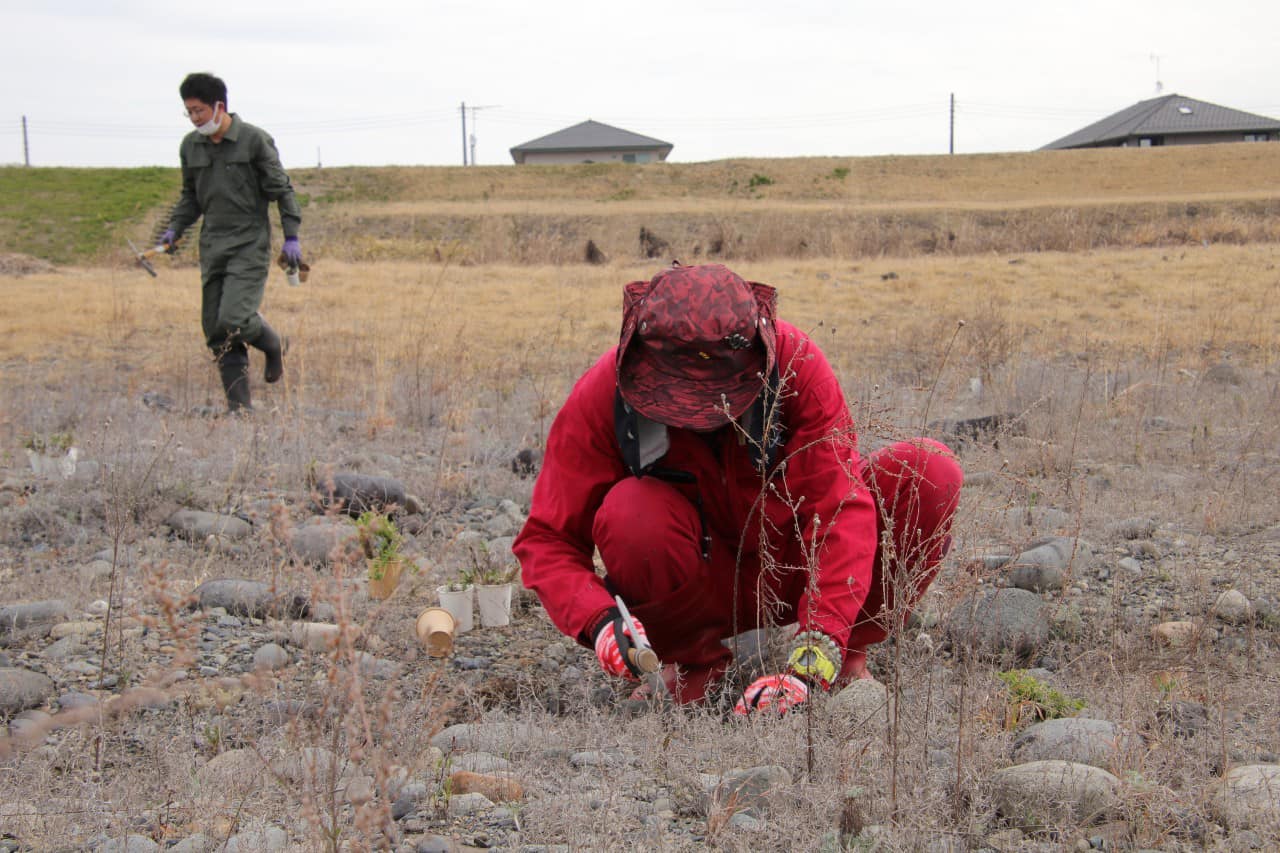 天地替え範囲外への移植