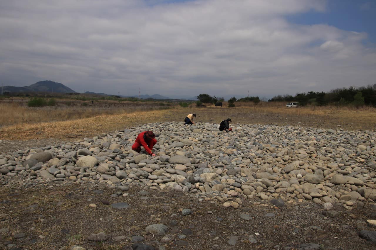 天地替え部への種まき