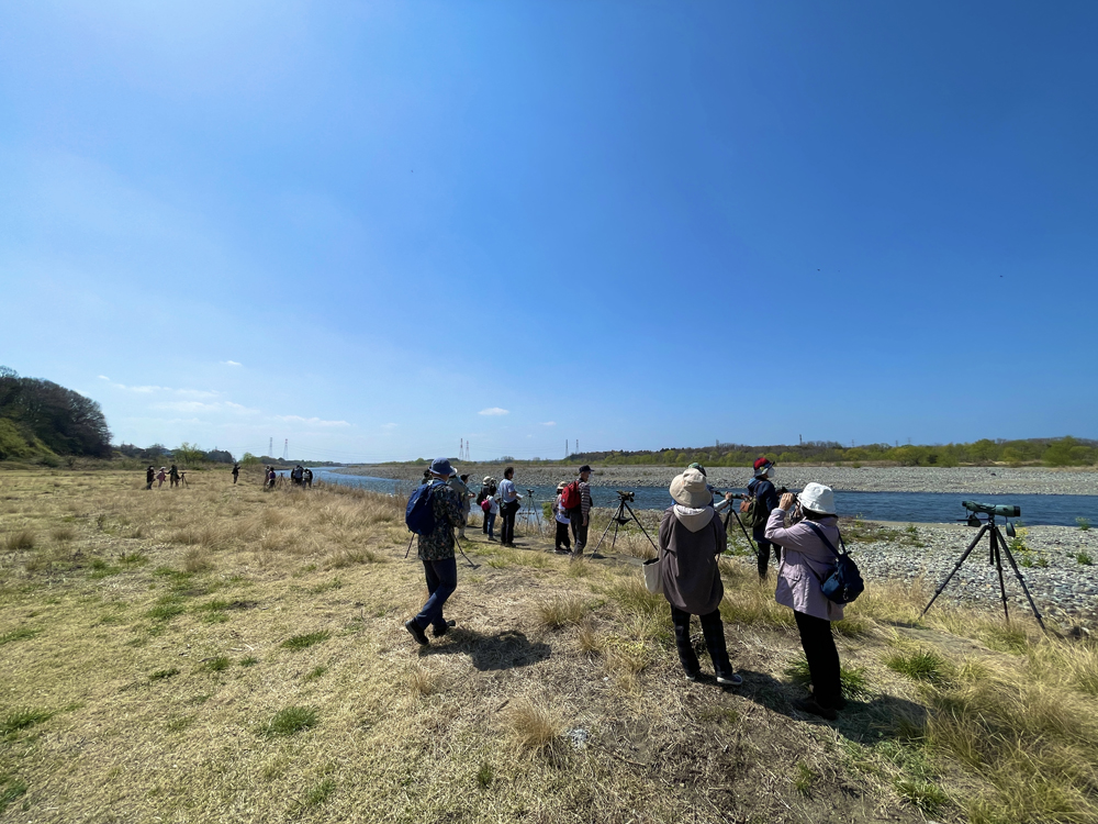 晴天の下での探鳥会