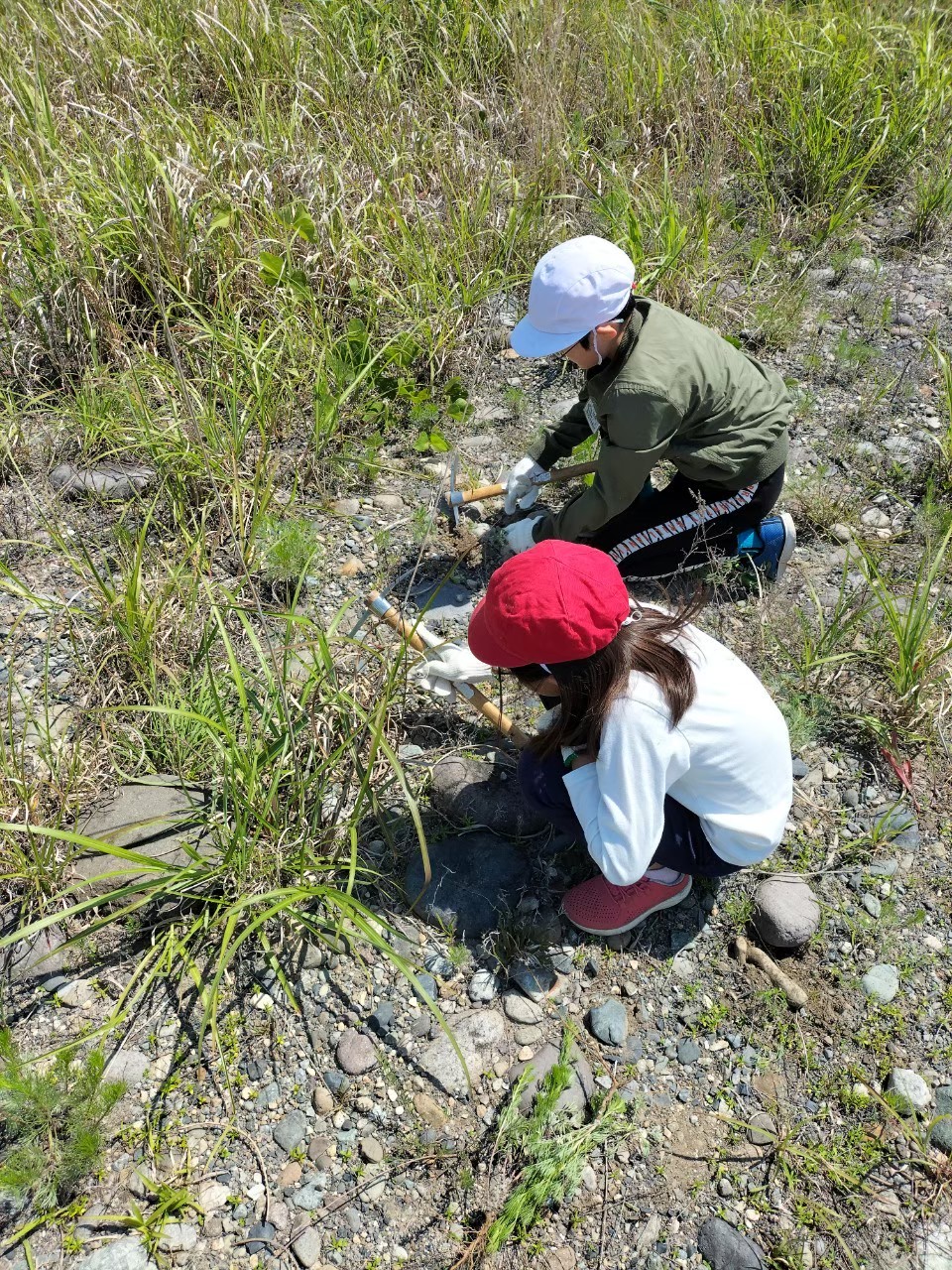 真剣に除草作業に取り組む２