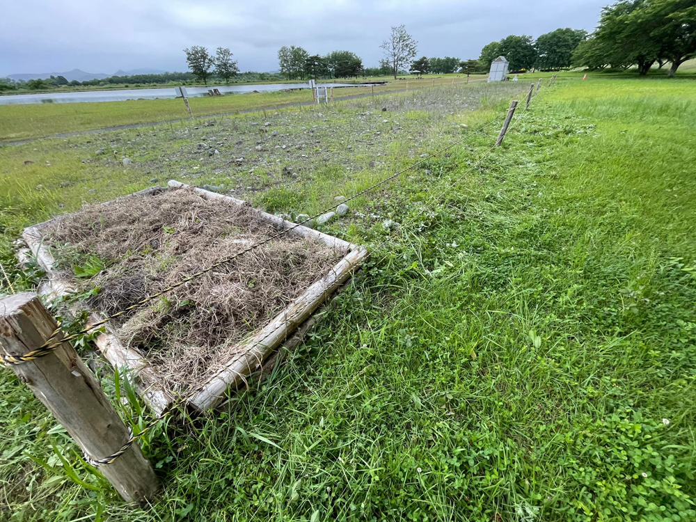 第2管理地の状況２