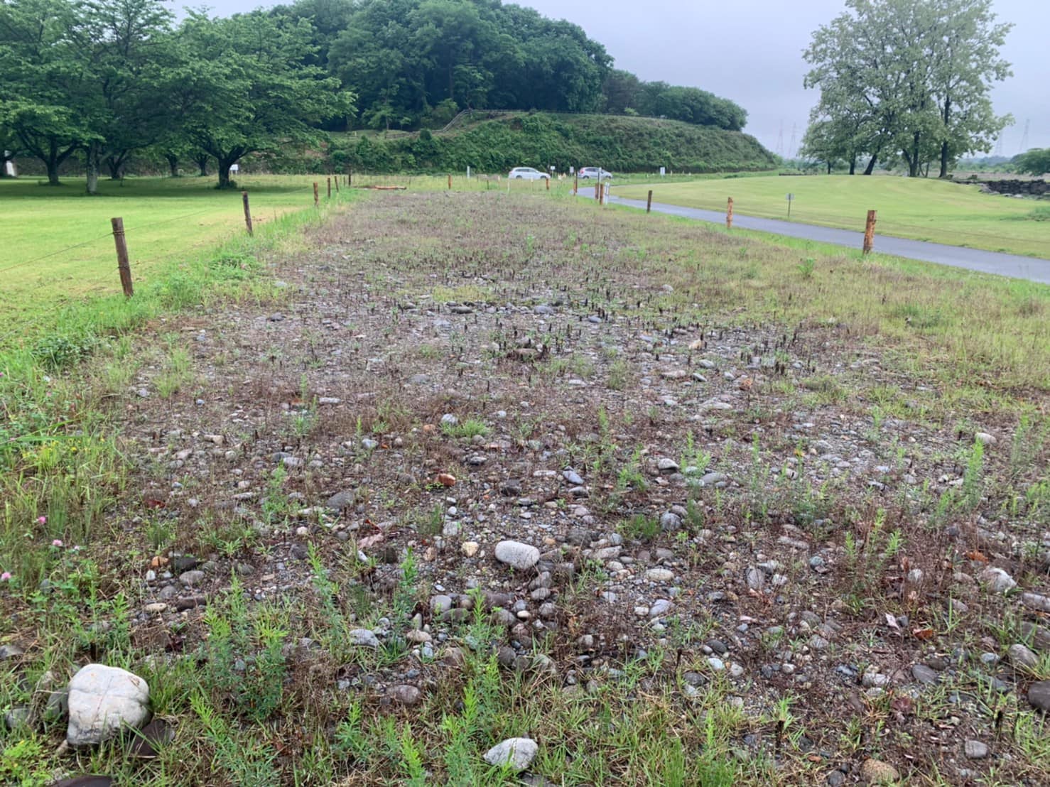 管理が進む第2管理地