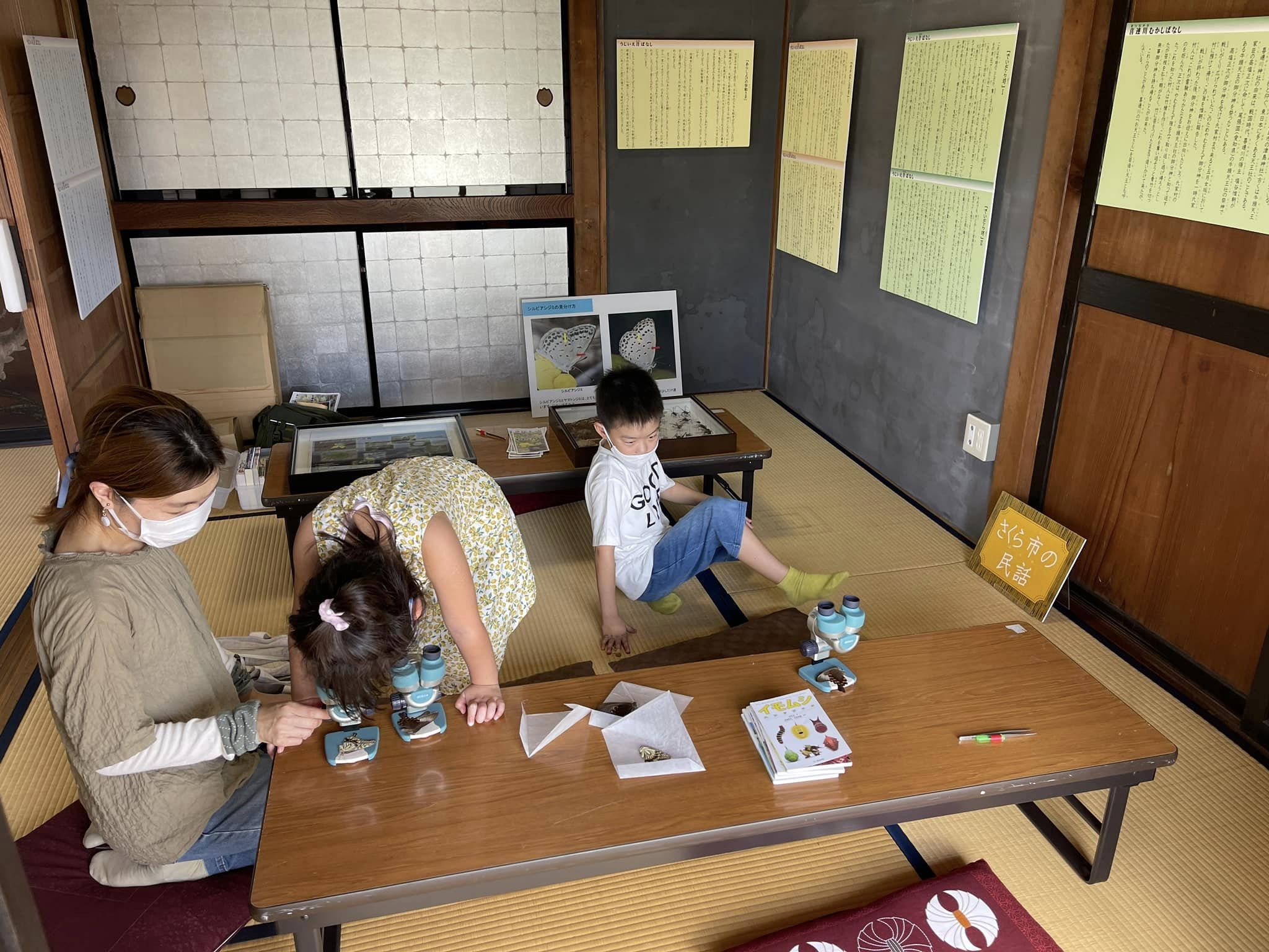 質問コーナーで蝶の鱗粉観察