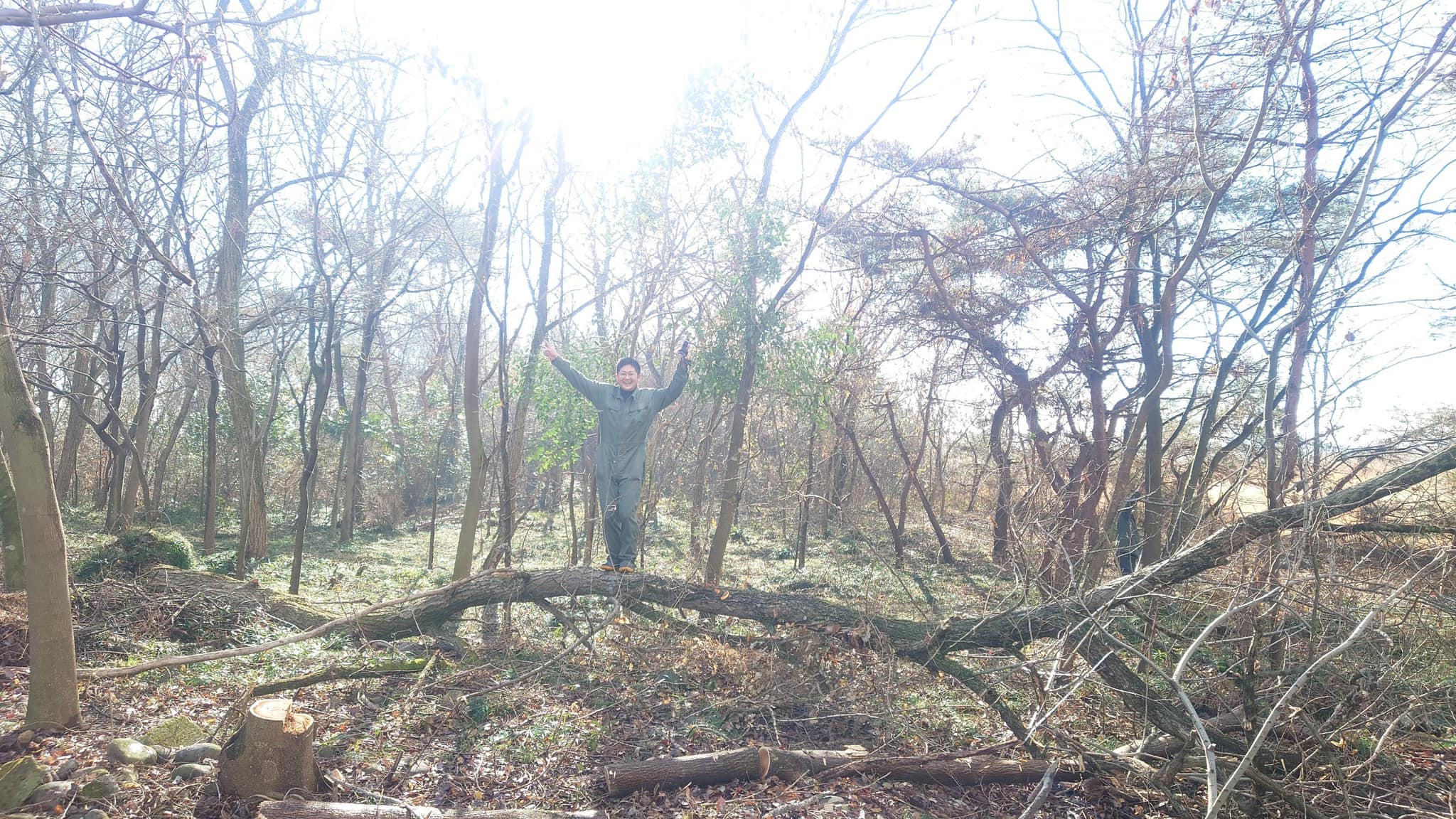 車で引っ張り倒しました