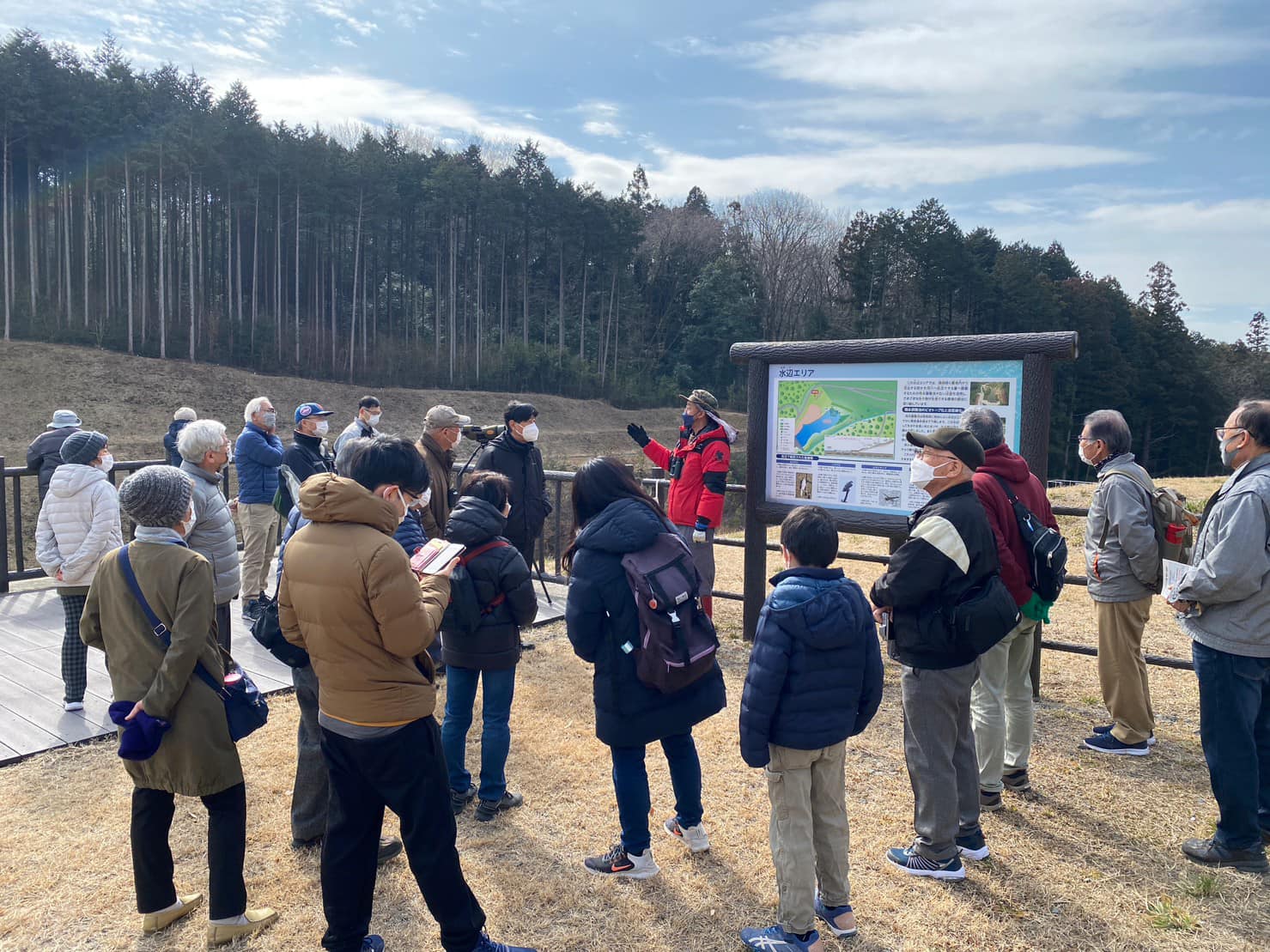 野外での野鳥の解説