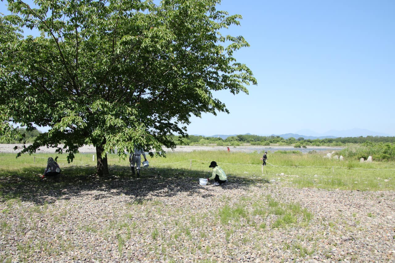 除草作業の様子