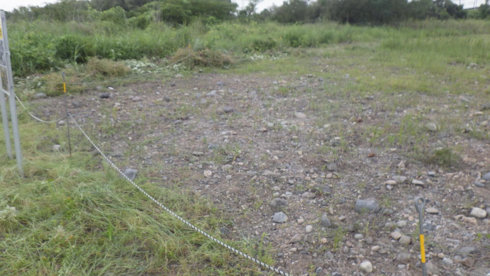 きれいになった保全地